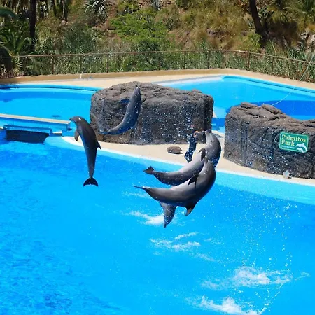 Villa La De Alisa La Casa Entera